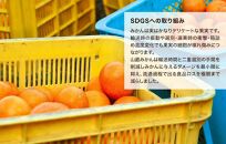 みかん 山から直送 箱込 約1kg(内容量約 0.9kg) サイズミックス 和歌山県産 産地直送 家庭用［2025年11月中旬より2026年1月中旬頃順次出荷予定］［みかんの会］みかん 果物 みかん フルーツ みかん 和歌山 みかん 柑橘類 みかん 和歌山県産 みかん 有田 みかん