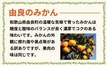 農家直送 ご家庭用 和歌山県由良町産温州みかん 約5kg 2S～2Lサイズ混合