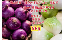 【白玉ねぎ+赤玉ねぎ】5kgセット家庭用&nbsp;&nbsp;減化学肥料&nbsp;タマネギ&nbsp;生食&nbsp;健康&nbsp;野菜&nbsp;食品&nbsp;培期間中農薬・除草剤不使用自然の力&nbsp;食べ比べ&nbsp;訳あり(サイズ混合)