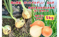 甘すぎ新鮮岡山市産&nbsp;玉ねぎ5kg&nbsp;減化学肥料&nbsp;家庭用&nbsp;タマネギ&nbsp;生食&nbsp;健康&nbsp;野菜&nbsp;食品&nbsp;栽培期間中農薬・除草剤不使用全て自然の力健康野菜&nbsp;訳あり(サイズ混合)
