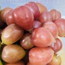 ぶどう2026年&nbsp;&nbsp;クイーンニーナ&nbsp;シャインマスカット&nbsp;マイハート&nbsp;秀品&nbsp;粒だけ&nbsp;約1.5kg&nbsp;農林大臣賞受賞&nbsp;岡山&nbsp;国産&nbsp;果物&nbsp;フルーツ&nbsp;食べ比べ&nbsp;2026年8月中旬から発送