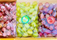 ぶどう2026年&nbsp;&nbsp;クイーンニーナ&nbsp;シャインマスカット&nbsp;マイハート&nbsp;秀品&nbsp;粒だけ&nbsp;約1.5kg&nbsp;農林大臣賞受賞&nbsp;岡山&nbsp;国産&nbsp;果物&nbsp;フルーツ&nbsp;食べ比べ&nbsp;2026年8月中旬から発送