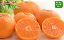 [秀品]和歌山有田みかん約3kg（S～Lサイズ混合）★2024年11月中旬～2025年1月下旬頃発送予定【TM96】