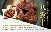 八雲牛 スネブロック 1kg（500g×２パック）【 肉 お肉 にく 牛 牛肉 スネ ブロック 食品 グルメ お取り寄せ お取り寄せグルメ 八雲町 北海道】