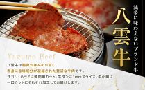 八雲牛 内臓セット（サガリ・ハラミ・牛タン・小腸）総重量600ｇ【 肉 お肉 にく 牛 牛肉 サガリ ハラミ 牛タン 小腸 焼き肉 焼肉 食品 グルメ お取り寄せ お取り寄せグルメ 人気 おすすめ  八雲町 北海道   】