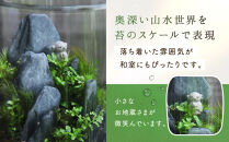 《苔テラリウム・コケリウム》地蔵S_山水図　シリンダーM