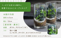 《苔テラリウム・コケリウム》地蔵S_山水図　シリンダーM