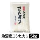 【令和6年産】お米マイスター厳選！魚沼産コシヒカリ5kg