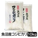 【令和6年産】お米マイスター厳選！魚沼産コシヒカリ10kg(５kg×２)