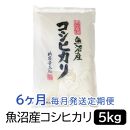 【令和6年産】お米マイスター厳選！魚沼産コシヒカリ５kg×6ヶ月毎月発送　定期便