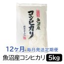 【令和6年産】お米マイスター厳選！魚沼産コシヒカリ５kg×12ヶ月毎月発送　定期便