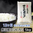 【令和6年産】お米マイスター厳選！魚沼産コシヒカリ５kg×12ヶ月毎月発送　定期便