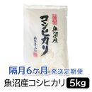 【令和6年産】お米マイスター厳選！魚沼産コシヒカリ５kg×隔月6ヶ月　定期便