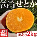 みかん の大トロ せとか 約2kg S～LLサイズ混合 訳あり ブランド 和歌山 有田 みかん 農家直送 オレンジ フルーツ 果物