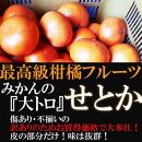 みかん の大トロ せとか 約2kg S～LLサイズ混合 訳あり ブランド 和歌山 有田 みかん 農家直送 オレンジ フルーツ 果物