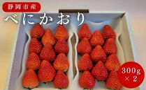 静岡県産いちご べにかおり 300g×2パック（1パック12～15粒） 冷蔵配送 苺 フルーツ