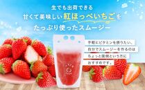 【冷凍】 いちごスムージー（紅ほっぺ）300g×6個  苺 フルーツ