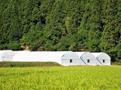 【兵庫県相生市】深山農園の&nbsp;「収穫体験ペアチケット」