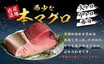 本場南紀から産地直送！ 本マグロ トロ+赤身セット 500g | 大トロ 中トロ 鮪 刺身 寿司