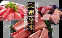 本場南紀から産地直送！ 本マグロ トロ+赤身セット 500g | 大トロ 中トロ 鮪 刺身 寿司