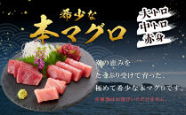 【12月末まで限定寄付額】【年内発送可】本マグロ&nbsp;トロ+赤身セット&nbsp;500g&nbsp;|&nbsp;【年末年始お届け可能】大トロ&nbsp;中トロ&nbsp;鮪&nbsp;刺身&nbsp;寿司&nbsp;お正月