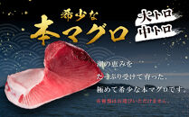 【12月末まで限定寄付額】【年内発送可】本マグロ トロセット 400g | 【年末年始お届け可能】大トロ 中トロ 鮪 刺身 寿司 お正月