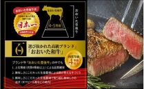 黒毛和牛100％! おおいた和牛ハンバーグステーキ 180g×4枚（計720g）_2479R