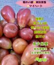 ぶどう&nbsp;2026年&nbsp;&nbsp;マイハート&nbsp;秀品&nbsp;粒だけ&nbsp;約1kg&nbsp;岡山&nbsp;国産&nbsp;果物&nbsp;フルーツ&nbsp;2026年8月中旬から発送