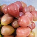 ぶどう&nbsp;2026年&nbsp;&nbsp;マイハート&nbsp;秀品&nbsp;粒だけ&nbsp;約1kg&nbsp;岡山&nbsp;国産&nbsp;果物&nbsp;フルーツ&nbsp;2026年8月中旬から発送