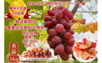 ぶどう&nbsp;2026年&nbsp;&nbsp;マイハート&nbsp;秀品&nbsp;粒だけ&nbsp;約1kg&nbsp;岡山&nbsp;国産&nbsp;果物&nbsp;フルーツ&nbsp;2026年8月中旬から発送