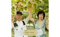 ぶどう&nbsp;2026年&nbsp;&nbsp;マイハート&nbsp;秀品&nbsp;粒だけ&nbsp;約1kg&nbsp;岡山&nbsp;国産&nbsp;果物&nbsp;フルーツ&nbsp;2026年8月中旬から発送