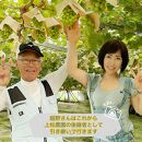 ぶどう&nbsp;2026年&nbsp;&nbsp;マイハート&nbsp;秀品&nbsp;粒だけ&nbsp;約2kg&nbsp;岡山&nbsp;国産&nbsp;果物&nbsp;フルーツ&nbsp;&nbsp;2026年8月中旬から発送