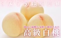 桃 2025年 先行予約 岡山県産 家庭用 白桃 1.5kg以上（4～6玉） 品種おまかせ＜6月下旬以降発送＞