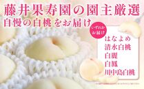 桃 2025年 先行予約 岡山県産 家庭用 白桃 1.5kg以上（4～6玉） 品種おまかせ＜6月下旬以降発送＞