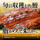 【お歳暮ギフト】源内 うなぎの蒲焼 3尾 ( 150g × 3尾 ) 香川県産 ｜ うなぎ 蒲焼 たれ・粉山椒付き