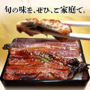 【お歳暮ギフト】源内 うなぎの蒲焼 3尾 ( 150g × 3尾 ) 香川県産 ｜ うなぎ 蒲焼 たれ・粉山椒付き