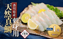 【お歳暮ギフト】天然真鯛&nbsp;刺身用　１尾（4～5人前）