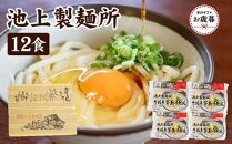 【お歳暮ギフト】讃岐生うどん12食入（1袋3食入×4袋）＊鎌田醤油だし醤油付＊  池上製麺所監修！｜うどん 生麺