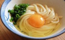 【お歳暮ギフト】讃岐生うどん24食入（1袋3食入×8袋）＊鎌田醤油だし醤油付＊池上製麺所監修！｜うどん 生麺