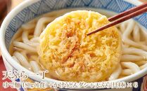 【お歳暮ギフト】讃岐ゆでうどん 色彩3A　18食（3種×各6袋：釜あげ・きつね・天ぷら）セット｜うどん ゆで麺