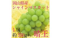 [HS]ぶどう 2025年 先行予約 9月・10月発送 シャイン マスカット 晴王 1房 約550g[ブドウ 葡萄 岡山県産 国産 フルーツ 果物 ギフト]