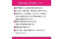 [HS]ぶどう 2025年 先行予約 9月・10月発送 シャイン マスカット 晴王 1房 約550g【ブドウ 葡萄  岡山県産 国産 フルーツ 果物 ギフト】