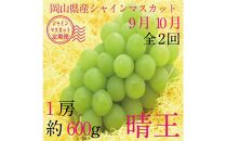 [HS][定期便 全2回]ぶどう 2025年 先行予約 9月・10月発送 シャイン マスカット 晴王 1房 約600g[ブドウ 葡萄 岡山県産 国産 フルーツ 果物 ギフト]