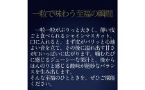 [HS]ぶどう 2025年 先行予約 9月・10月発送 最高級品シャイン マスカット 晴王 1房 約600g【ブドウ 葡萄  岡山県産 船穂産 フルーツ 果物 ギフト】