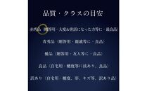 [HS]ぶどう 2025年 先行予約 9月・10月発送 最高級品シャイン マスカット 晴王 1房 約600g【ブドウ 葡萄  岡山県産 船穂産 フルーツ 果物 ギフト】