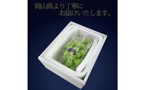 [HS]ぶどう 2025年 先行予約 9月・10月発送 最高級品シャイン マスカット 晴王 1房 約600g【ブドウ 葡萄  岡山県産 船穂産 フルーツ 果物 ギフト】