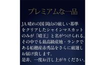 [HS]【定期便 全2回】ぶどう 2025年 先行予約 9月・10月発送 最高級品シャイン マスカット 晴王 1房 約600g【ブドウ 葡萄  岡山県産 船穂産 フルーツ 果物 ギフト】