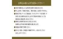 [HS]【定期便 全2回】ぶどう 2025年 先行予約 9月・10月発送 最高級品シャイン マスカット 晴王 1房 約600g【ブドウ 葡萄  岡山県産 船穂産 フルーツ 果物 ギフト】