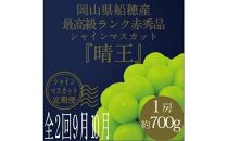 [HS]【定期便 全2回】ぶどう 2025年 先行予約 9月・10月発送 最高級品シャイン マスカット 晴王 1房 約700g【ブドウ 葡萄  岡山県産 船穂産 フルーツ 果物 ギフト】