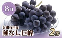 【8・9・12月&nbsp;全3回&nbsp;定期便&nbsp;】紀州和歌山産旬のフルーツセット（種なし巨峰・シャインマスカット・みかん）【UT122】